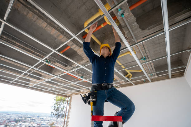 Best Plumbing Repair Near Me  in Town Line, NY